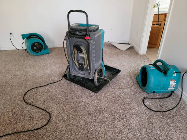 Best 24-hour water damage restoration  in Hoyt Lakes, MN