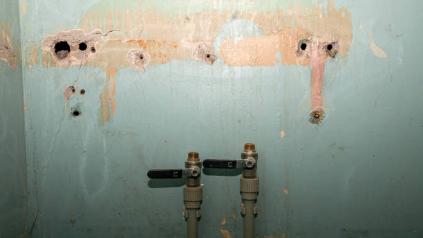 Best Residential water damage restoration  in Hoyt Lakes, MN