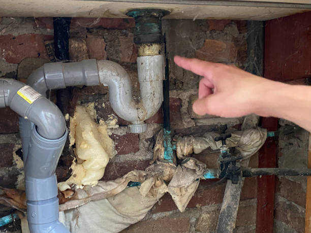 Best Carpet water damage restoration  in Hoyt Lakes, MN